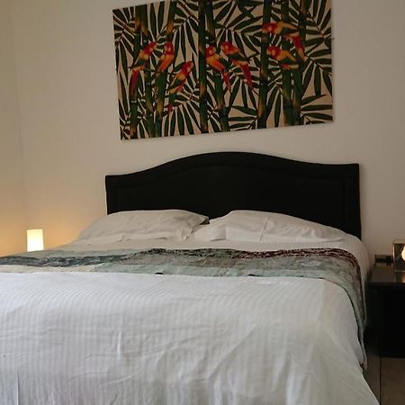 Surf Lookout - King Size En-Suite With Sea Views New Quay Exterior foto