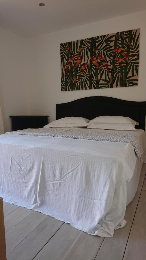 Surf Lookout - King Size En-Suite With Sea Views New Quay Exterior foto